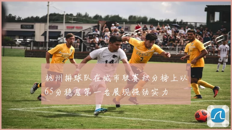杭州排球队在城市联赛积分榜上以65分稳居第一名展现强劲实力